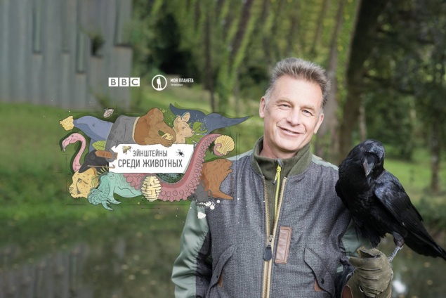Премьера документального цикла «Энштейны среди животных» в эфире «Моей Планеты»