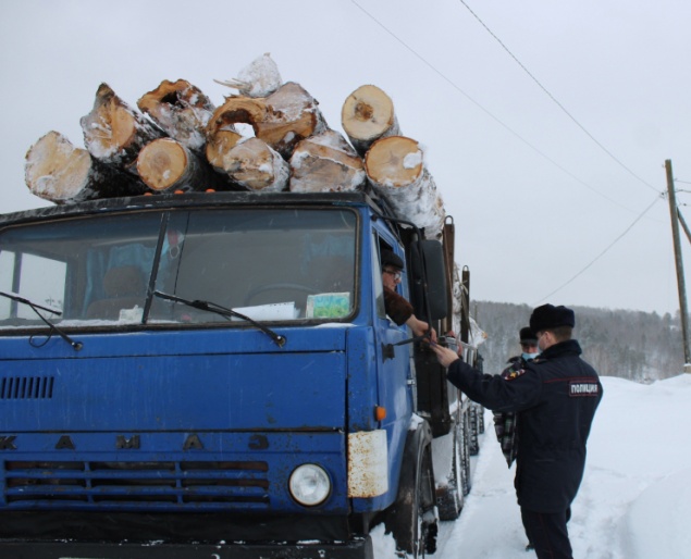 Полицейские Ачинска контролируют сохранность лесного фонда