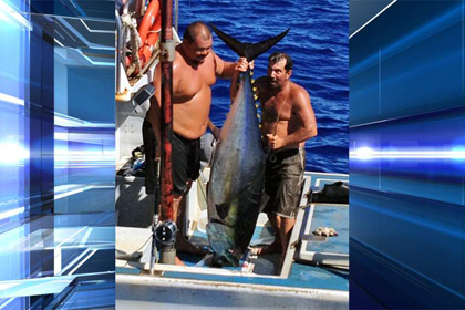 Тунец перевернул лодку гавайского рыбака