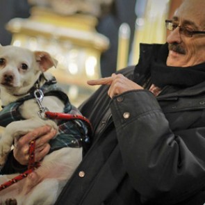 Эксперимент на собаках доказал биологическую природу ревности