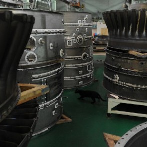 Китай захотел производить российские ракетные двигатели