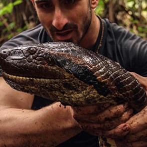 Анаконда испортила эксперимент по поеданию человека в прямом эфире