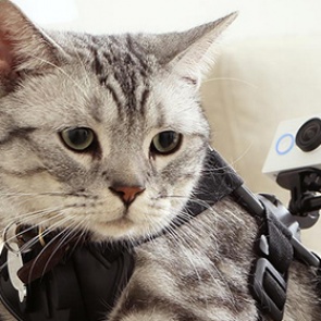 Xiaomi выпустила конкурента GoPro за 64 доллара