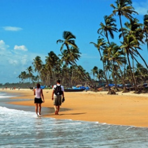 СМИ сообщили об исключении Гоа из списка безопасных мест для российских туристов