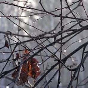 В Ачинск ненадолго придет похолодание