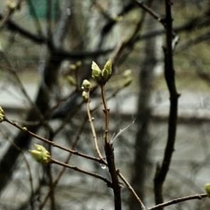 В Ачинск идет похолодание и снег