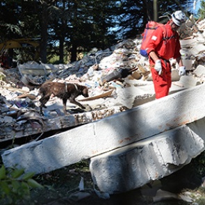 Число жертв землетрясения в Италии возросло до 250