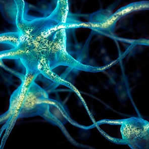 Назван способ перестать быть злопамятным