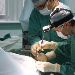 В Боготоле на женщину напал леопард