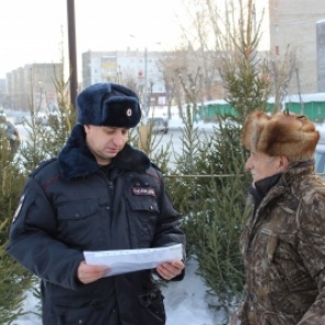 Ачинские полицейские проверили елочные базары