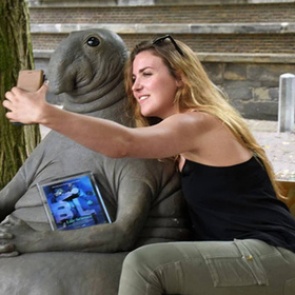 Международная федерация самбо попросила автора Ждуна создать логотип организации