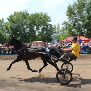 В Ачинске 10 июня состоятся конно-спортивные соревнования