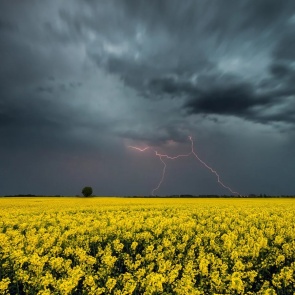 Ачинцев предупреждают о неблагоприятных погодных условиях