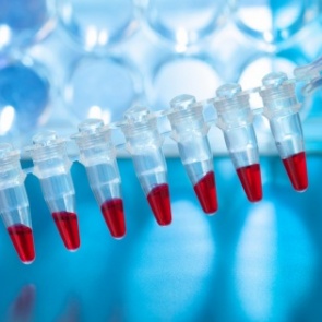 Российскую сборную отстранили от участия в Олимпиаде-2018