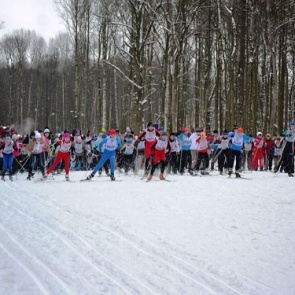Ачинские школьники завоевали призовые места на краевой школе «К вершинам туристского мастерства» по программе «Лыжный туризм»