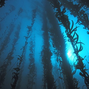 Под землей нашли затерянный мир