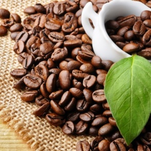 Советы водителям: избавим от похмелья и перегара в кратчайшие сроки