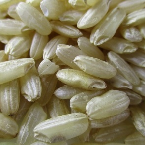 Россельхознадзор обнаружил нарушения в Ачинской Мариинской гимназии