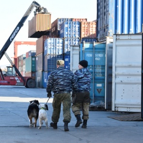 Страны Запада стали активнее торговать с Россией вопреки санкциям