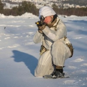 Великобритания захотела защититься от России в Арктике