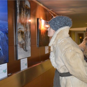 Фотовыставка «Первозданная Россия» завершает работу на Зимней универсиаде