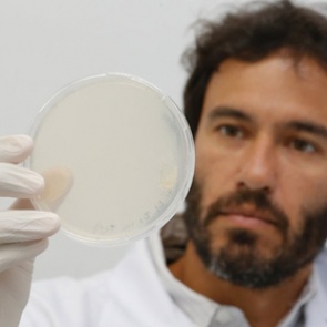 Найдено лекарство против опасных проблем с сердцем