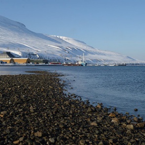 Названы последствия глобального потепления для Арктики