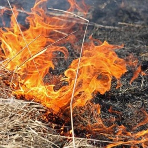 Управление «ЕДДС, ГО и ЛЧС» напоминает: ПАЛЫ СУХОЙ ТРАВЫ ЗАПРЕЩЕНЫ!