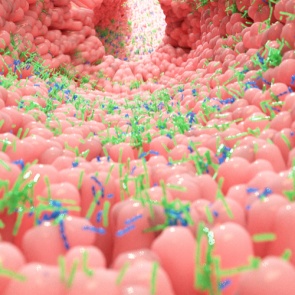 Как сытая жизнь уничтожает нас изнутри