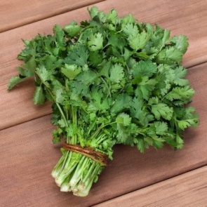 КИНЗА - ПОЛЕЗНЫЕ СВОЙСТВА