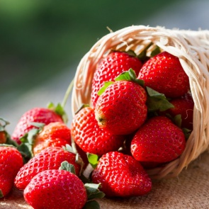 «Вкусно — не значит можно»: медики рассказали красноярцам о пользе и вреде клубники