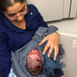 Самолет экстренно сел из-за родившей на борту пассажирки