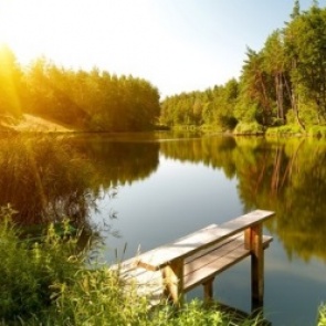 Подготовка сада к осени