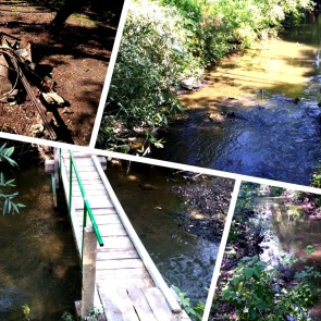 Программа Главы Ачинска «Ачинским рекам – чистые берега»: полсотни автошин извлечено из русла реки Тептятки