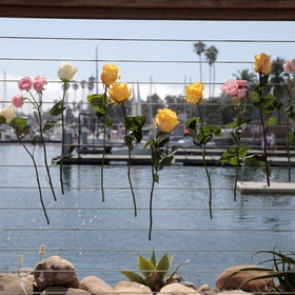 Опубликован звонок бросившего десятки людей на горящей лодке капитана