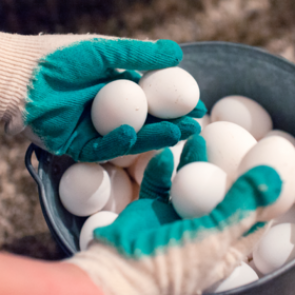 Названы запрещенные к мытью продукты