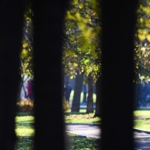 Декретный отпуск россиянок оказался самым продолжительным в мире