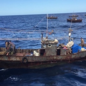 Госпитализированы раненные северокорейцами российские пограничники