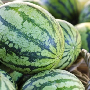 Полосатый праздник – как сохранить арбуз до Нового года