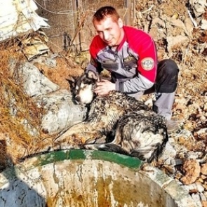 Российские спасатели вытащили просидевшего в колодце десять часов хаски