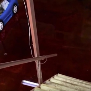 Жилой дом затопило кровью и останками животных