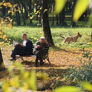 Аномальной погоде в России дали объяснение