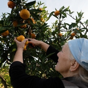 Россиянам раскрыли способы избежать рак