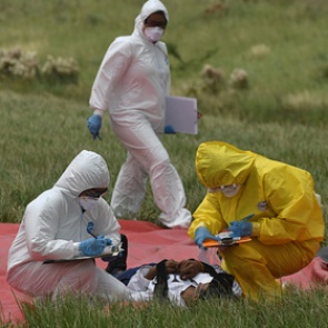 В ВОЗ допустили заражение коронавирусом двух третей населения Земли