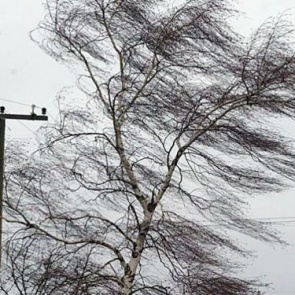 Ачинск переживает штормовой ветер без серьёзных ЧП