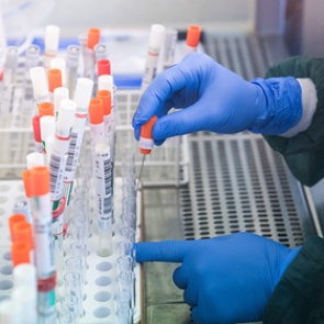 В России рассказали о разработке трех препаратов для лечения коронавируса