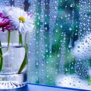 Почему плачут и запотевают окна?