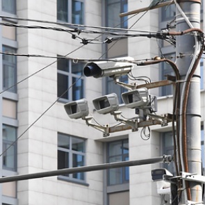 В России появился новый дорожный знак