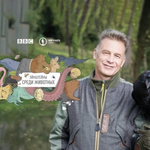Премьера документального цикла «Энштейны среди животных» в эфире «Моей Планеты»