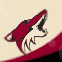 Команда НХЛ сменит название